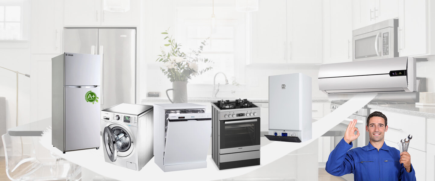 Yumurtalık Smeg Servisi
